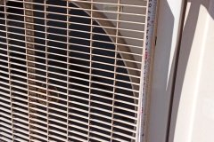 IMG_20260311_094614_1
